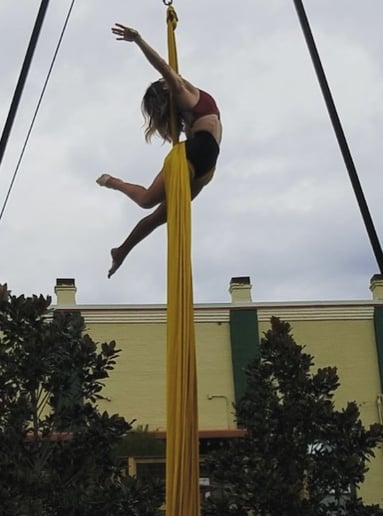 Gallery photo 8 of Susan L Rosone Aerialist