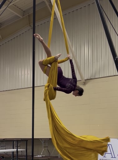Gallery photo 1 of Susan L Rosone Aerialist
