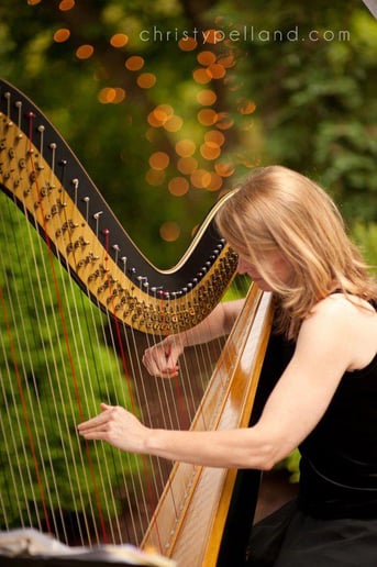 Gallery photo 9 of Susan W. Haas, Harpist