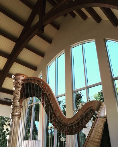 Gallery photo 7 of Susanna Wang, Harpist