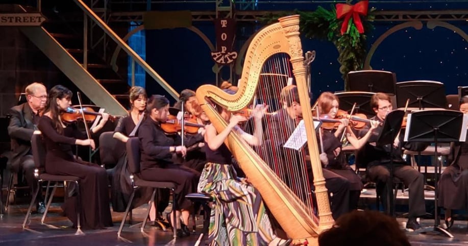Gallery photo 9 of Susanna Wang, Harpist