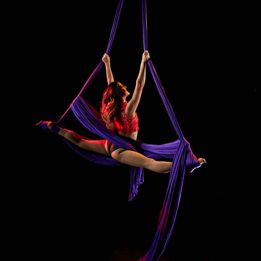 Gallery photo 1 of Suspended Gravity