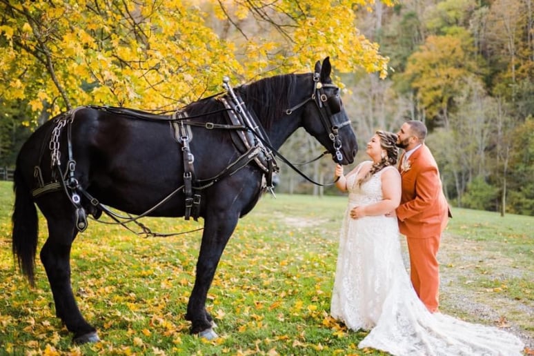 Gallery photo 1 of Suthers Carriage Company