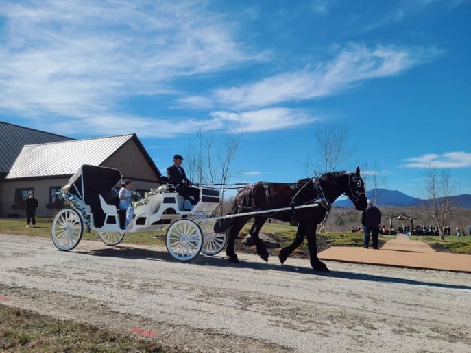 Gallery photo 2 of Suthers Carriage Company