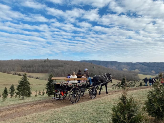 Gallery photo 3 of Suthers Carriage Company