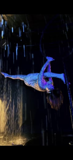 Gallery photo 10 of Sutra Winter