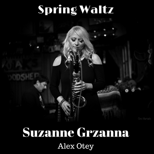Gallery photo 5 of Sax Diva Suzanne Grzanna