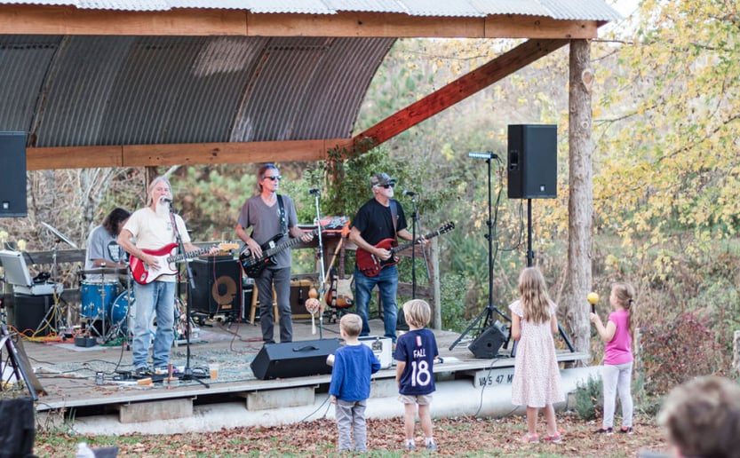 Gallery photo 4 of Swamp Trash Band USA