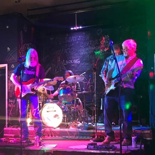 Gallery photo 7 of Swamp Trash Band USA