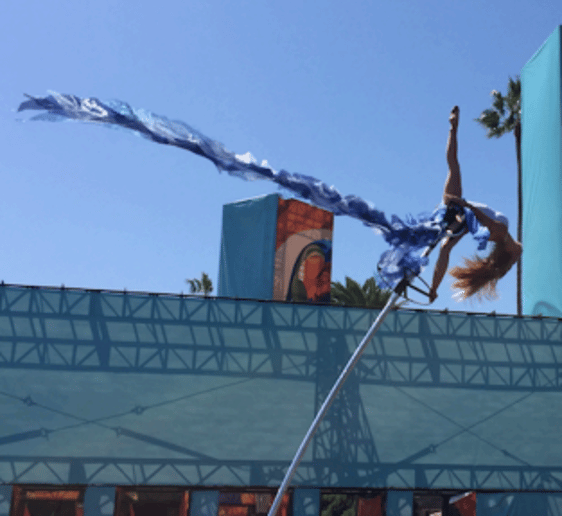 Gallery photo 9 of Sway Poles and More!