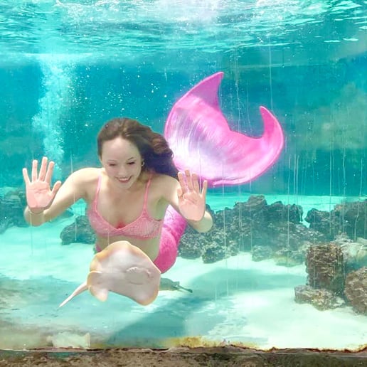 Gallery photo 3 of Swimming Mermaid