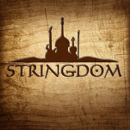Gallery photo 1 of Stringdom