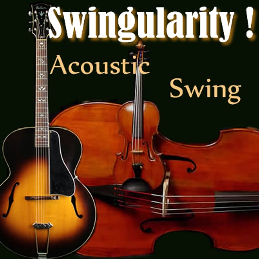 Gallery photo 1 of Swingularity!