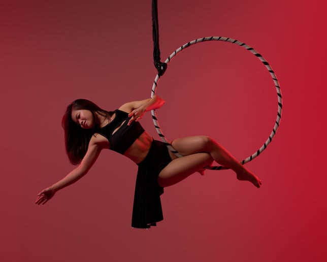 Gallery photo 1 of Swoona Faye Aerial Dance