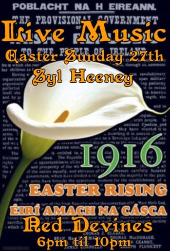 Gallery photo 1 of Syl Heeney-Irish Folksinger/Guitarist