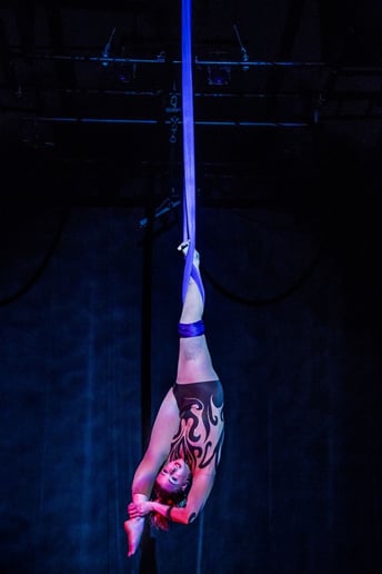 Gallery photo 12 of Sylvi Circus Arts