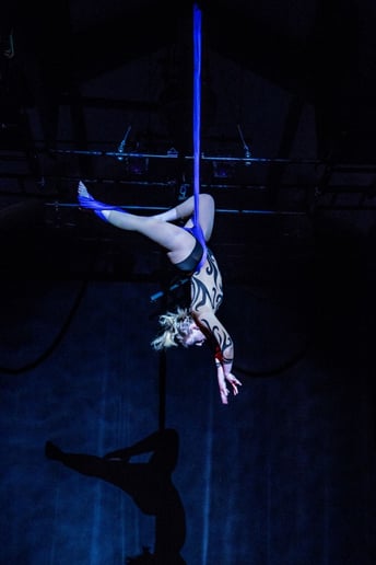Gallery photo 15 of Sylvi Circus Arts