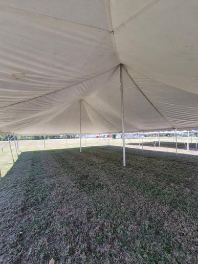 Gallery photo 4 of T-Rental
