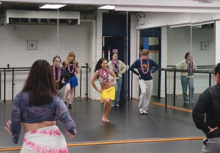 Gallery photo 4 of Tahitian & Hula dancing