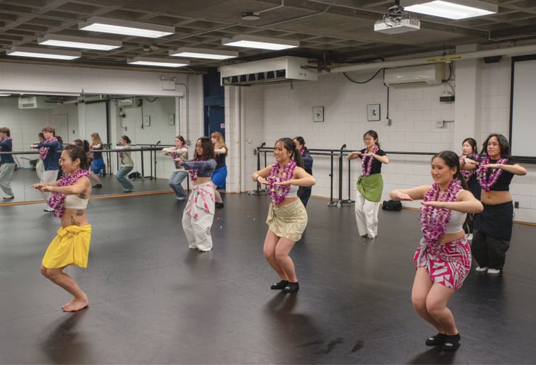 Gallery photo 5 of Tahitian & Hula dancing