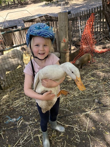 Gallery photo 2 of Tails of Redwood Trails Petting zoo