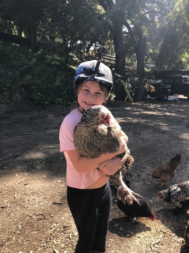 Gallery photo 5 of Tails of Redwood Trails Petting zoo