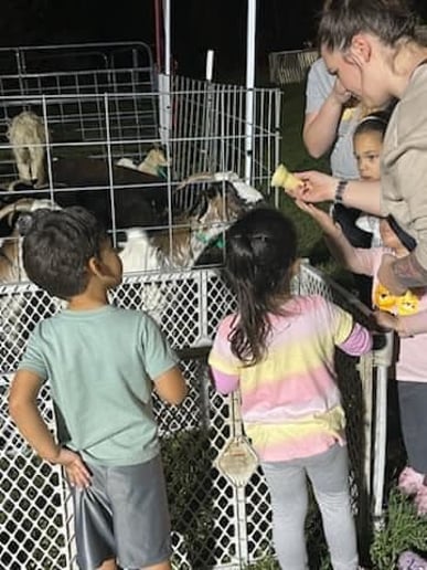 Gallery photo 1 of Tales & Hooves Mobile Petting Zoo