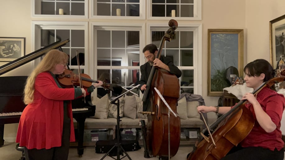 Gallery photo 6 of Moira Levant, Violinist and Fiddler