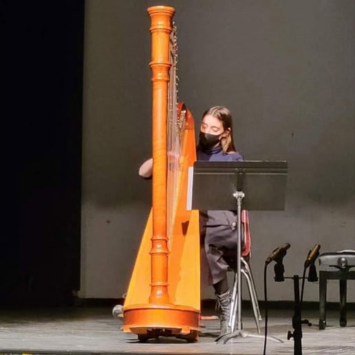 Gallery photo 1 of Talya Kaplan, Harpist