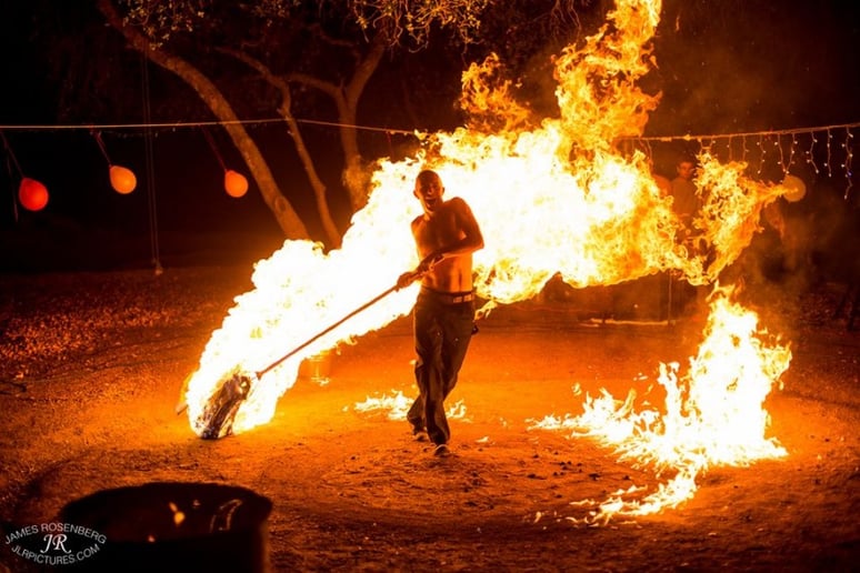 Gallery photo 5 of Tamed Fire