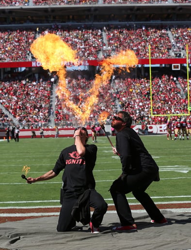 Gallery photo 3 of Tamed Fire