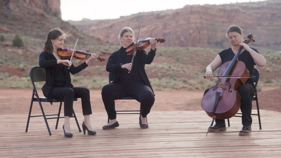 Gallery photo 3 of Black & White String Quartet