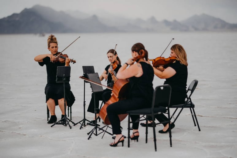 Gallery photo 1 of Black & White String Quartet