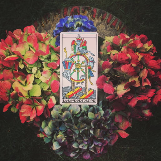 Gallery photo 7 of Tarot Gold