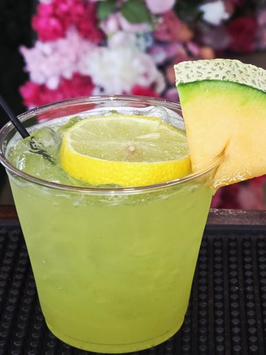 Gallery photo 10 of Tasty Libations