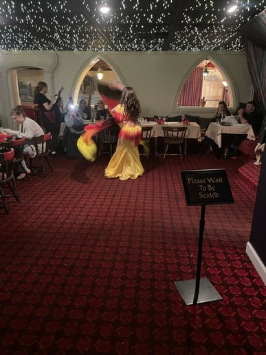 Gallery photo 6 of Tatiana Bellydance