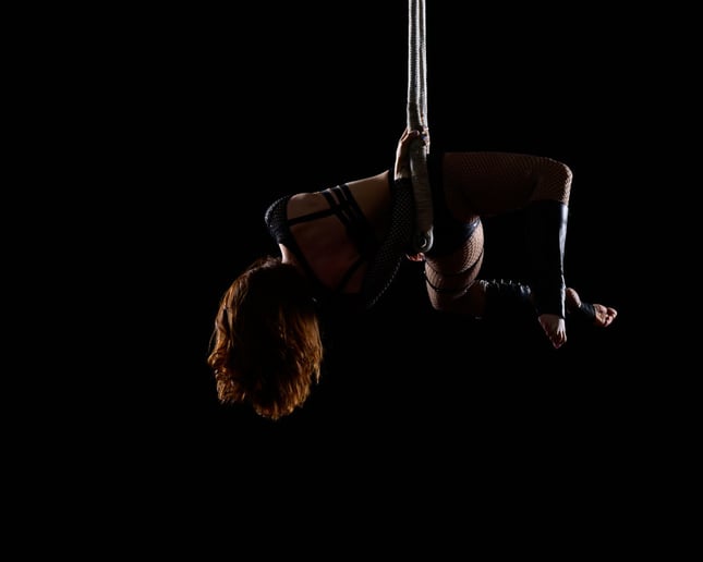 Gallery photo 9 of Taylor Krasne - Cyr Wheel & Aerials