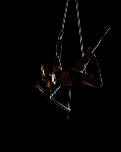 Gallery photo 8 of Taylor Krasne - Cyr Wheel & Aerials