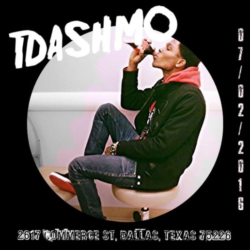 Gallery photo 6 of TDashMo