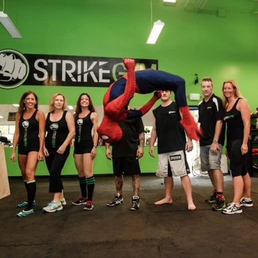 Gallery photo 1 of Team Spider-man