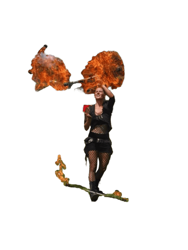 Gallery photo 8 of Team Wildlyfe Fire Performances
