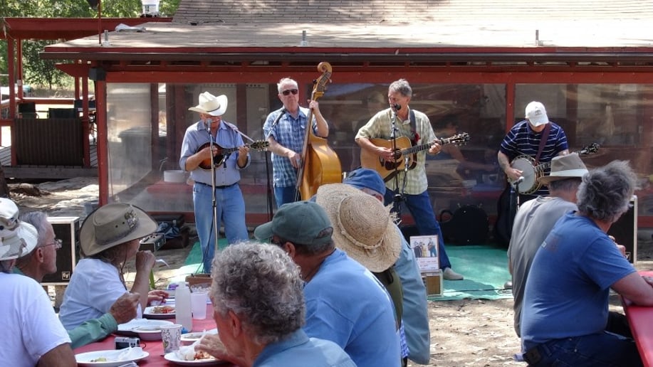 Gallery photo 1 of TED bluegrass band