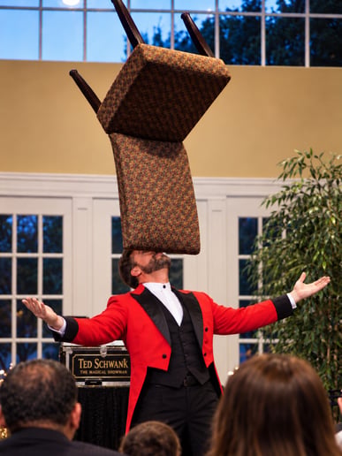 Gallery photo 36 of Ted Schwank - The Magical Showman