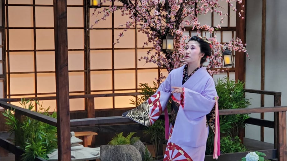 Gallery photo 7 of Tendou Japanese Dance Entertainment