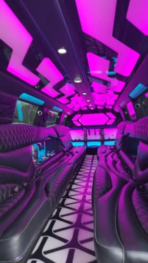 Gallery photo 5 of TN Limos