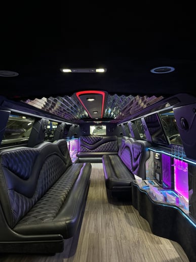 Gallery photo 7 of TN Limos