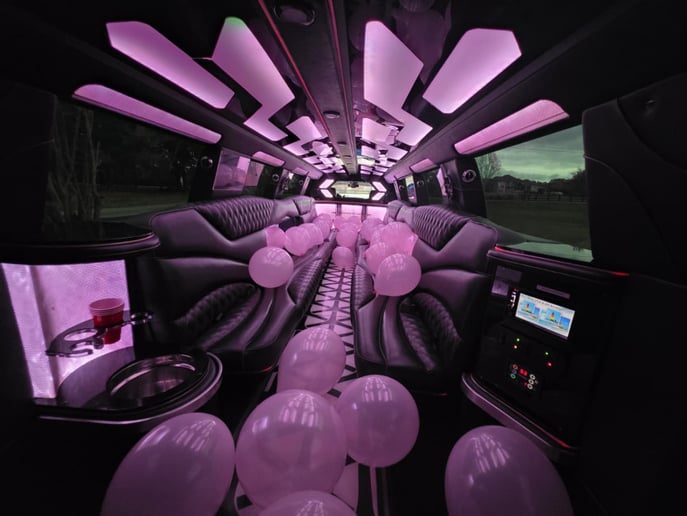 Gallery photo 8 of TN Limos