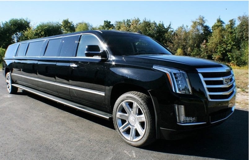 Gallery photo 4 of TN Limos