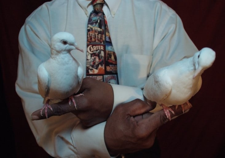 Gallery photo 7 of Terry Francis - Purveyor Of Magic & Mystery