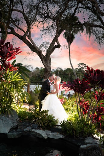 Gallery photo 2 of Terry James Photography
